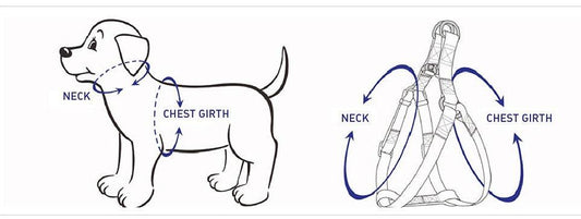 STEP IN HARNESS - LEOPARD