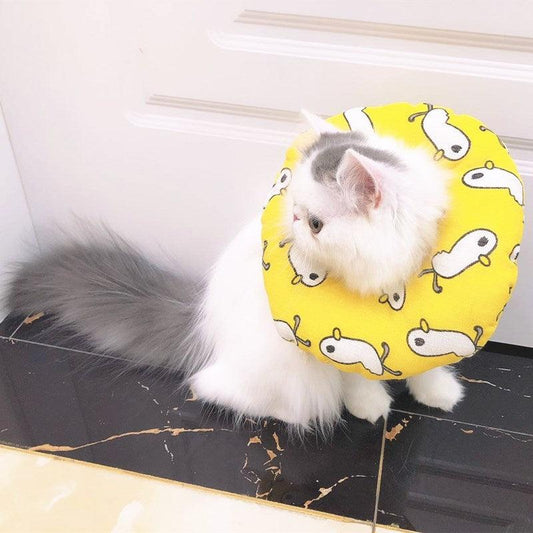 Protective Comfort Collar-0