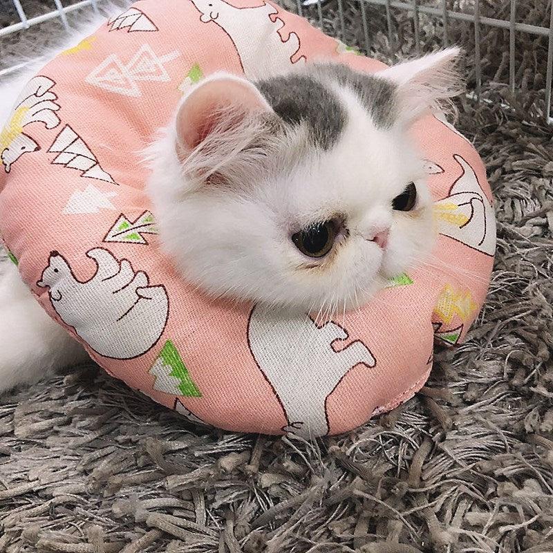 Protective Comfort Collar-4
